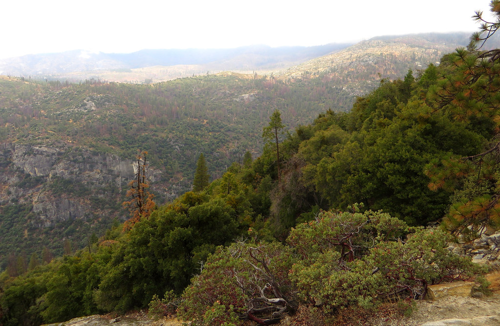 Wawona Road, Yosemite National Park, California Yosemite N… Flickr