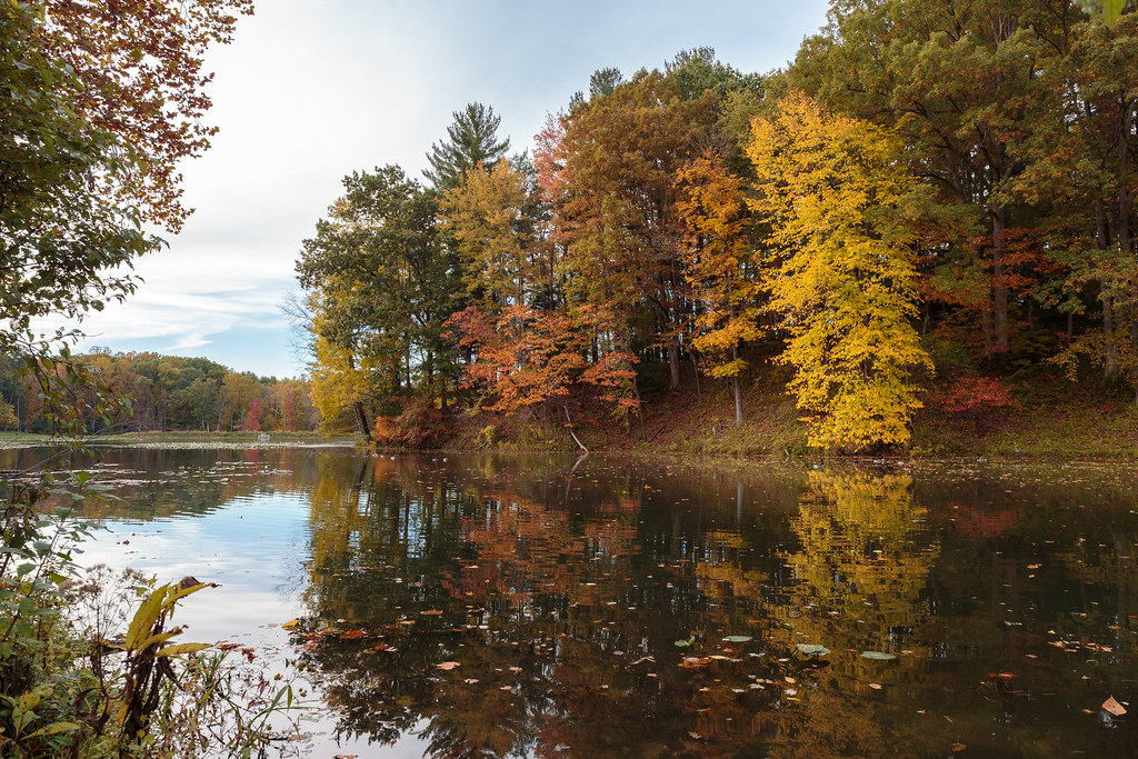 Kendall Lake Fall Foliage Virginia Kendall, Cuyahoga Valle… Flickr