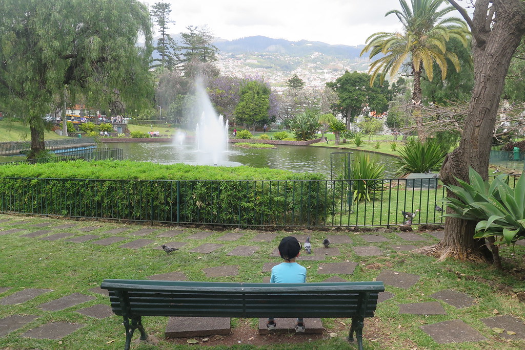 Madeira Die schönsten Gärten und Parks der Insel » Traumurlaub auf