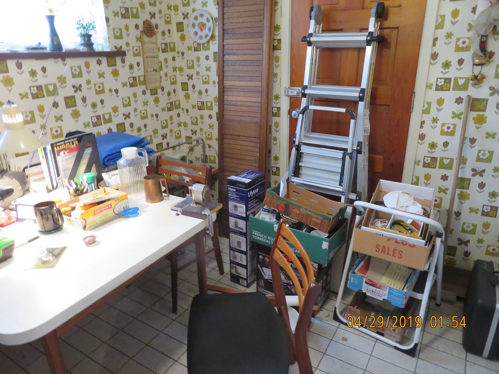 Royal York Eglinton Bear Flickr