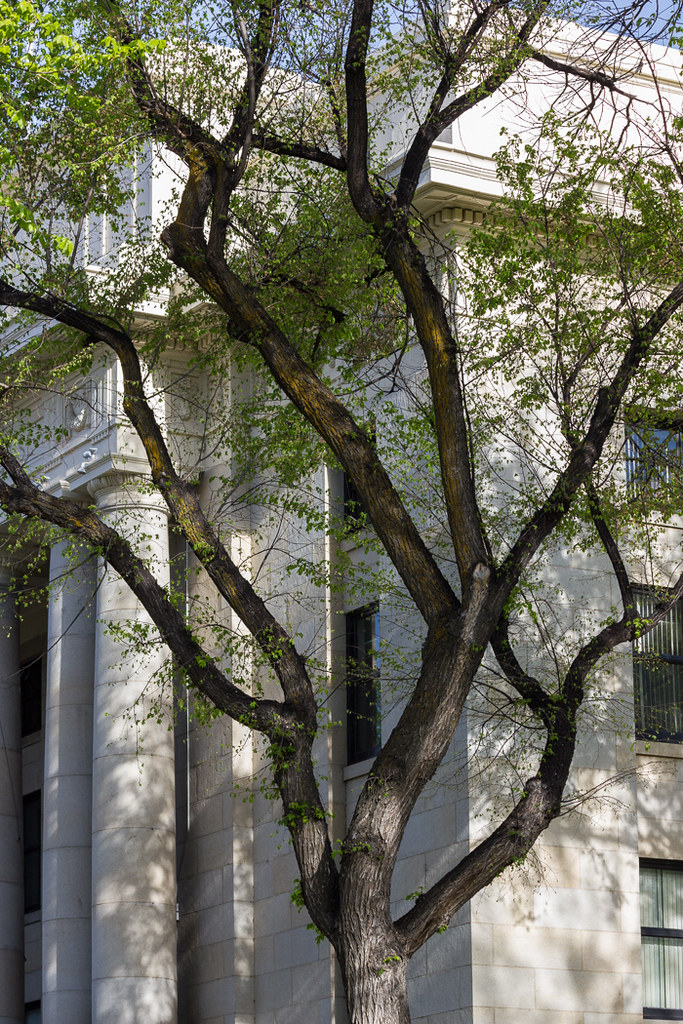 Elm & Courthouse Prescott, AZ jemac45 Flickr