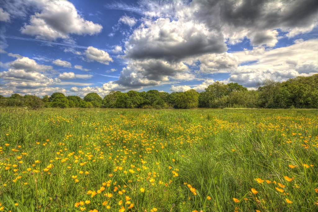 Leyton Flats Dave Gordon Flickr