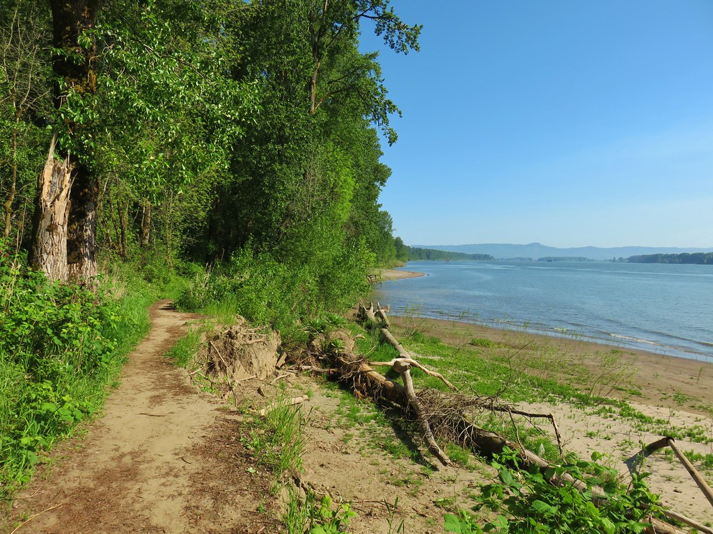 Three Hikes on Sauvie Island wanderingyuncks