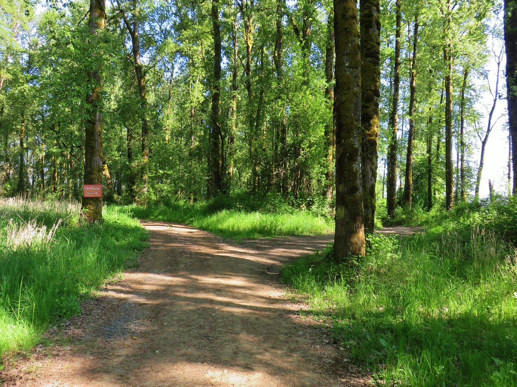 Three Hikes on Sauvie Island wanderingyuncks