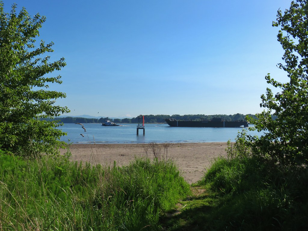 Three Hikes on Sauvie Island wanderingyuncks