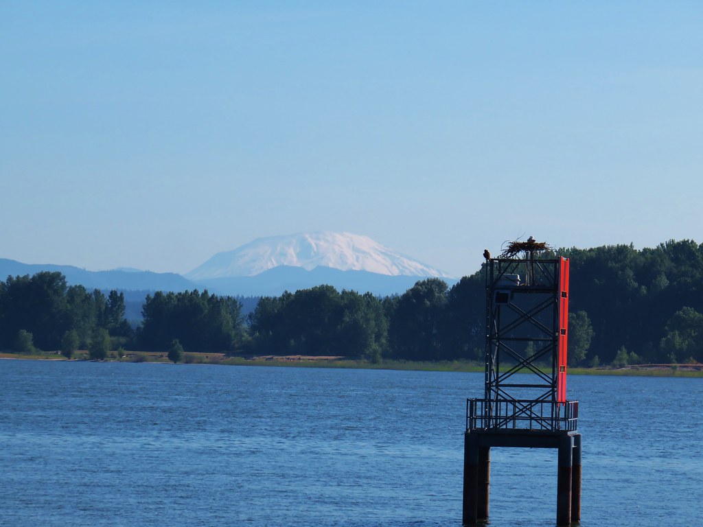 Three Hikes on Sauvie Island wanderingyuncks