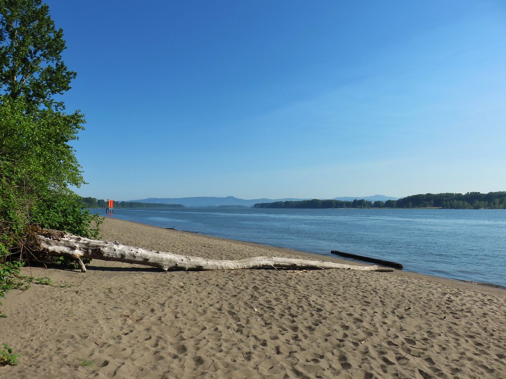 Three Hikes on Sauvie Island wanderingyuncks