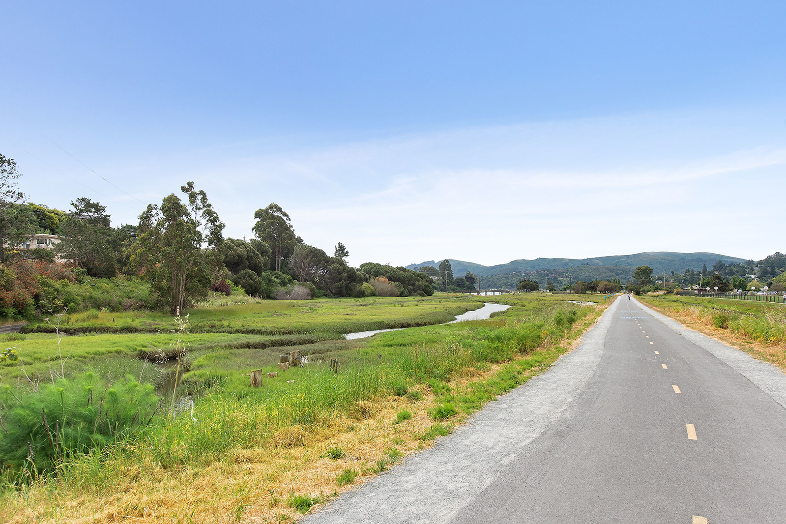 Shelter Bay Avenue Mill Valley Ca at Vivian Hamilton blog