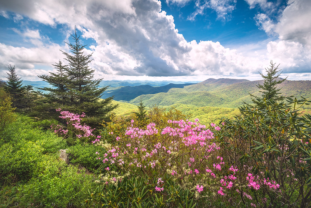 Blue Ridge Spring Spring in the Blue Ridge Mountains is th… Flickr