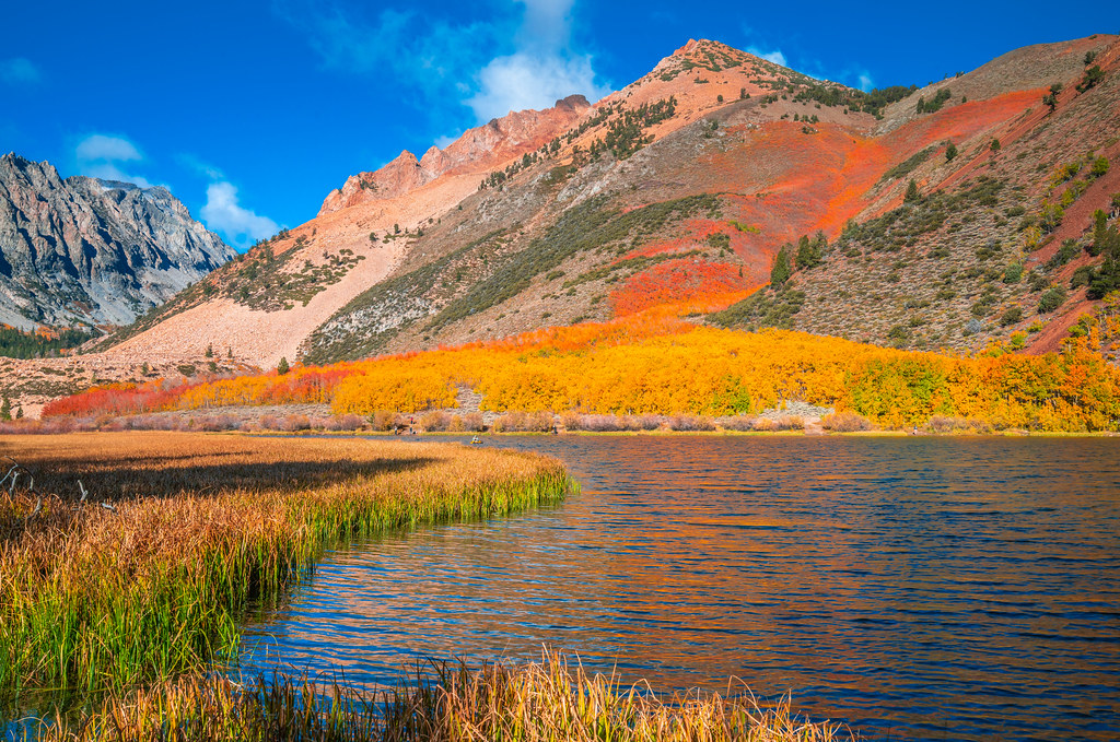 Eastern Sierra Fall Foliage California Fall Color! North L… Flickr