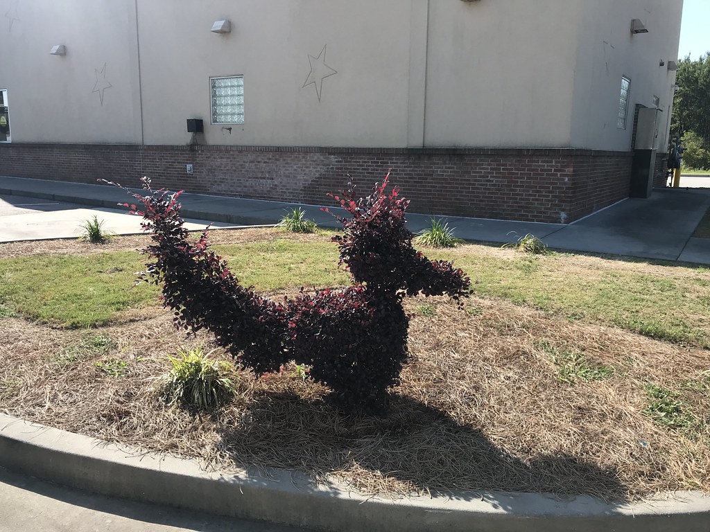 Hackney Nursery May 15th Flickr