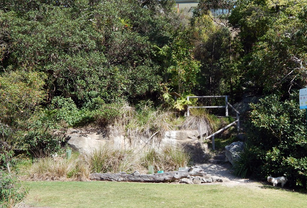 Ex Tramway Reserve, Lawry Plunkett Reserve, Mosman, Sydney… Flickr