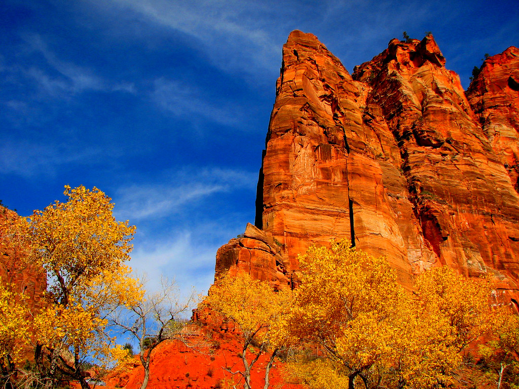 Zion National Park At Big Bend the canyon walls and the fa