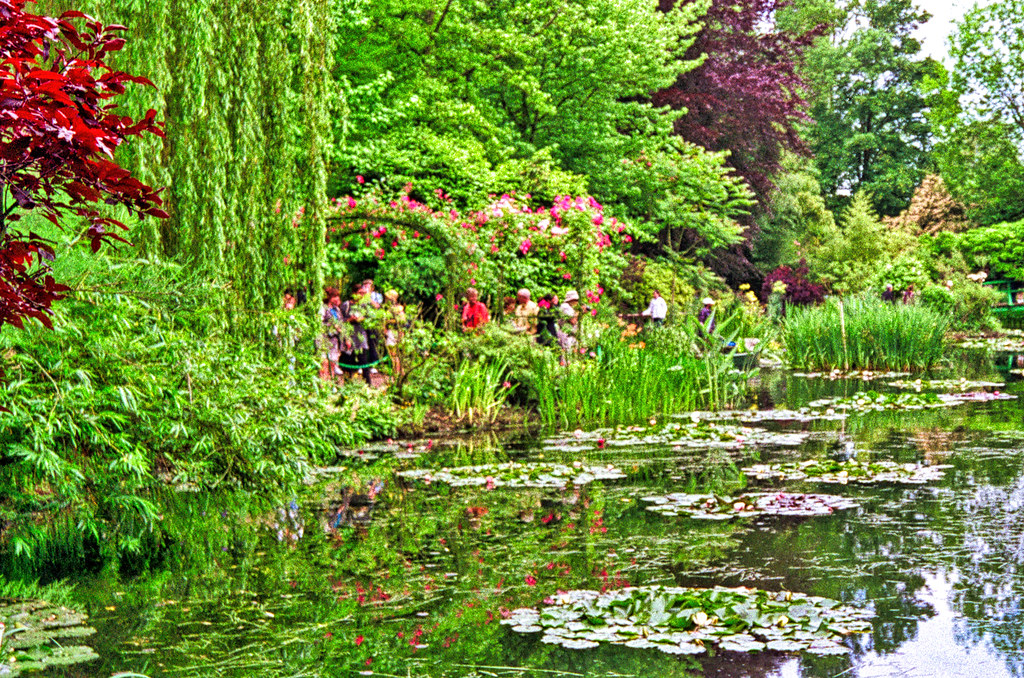 Garden Scene overlooking the lily pond in ga… Flickr