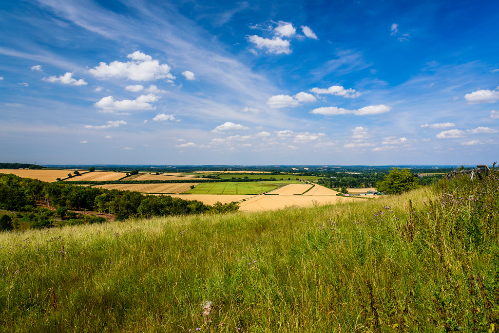 Plains around Kingsclere I The flat plains of the Enborne … Flickr