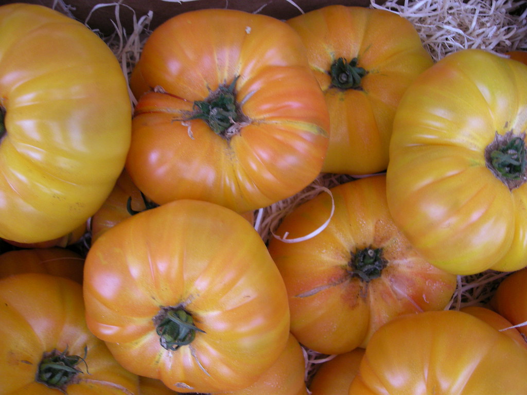 Tomates VII Tomatoes sold on the Sunday market in Trouvill… Flickr