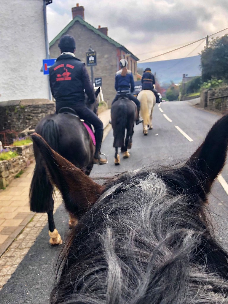 Ellesmere Riding Centre Llangorse village horse ride Flickr