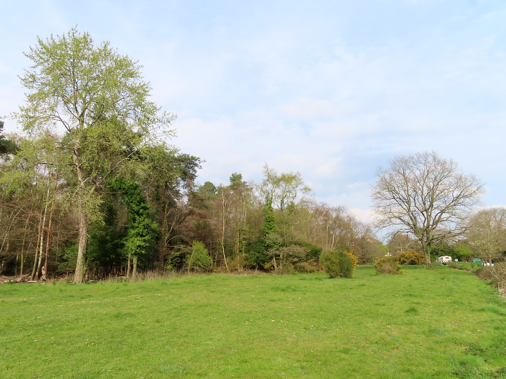 14041910 Burnham Beeches East Burnham Common Steve Daniels Flickr