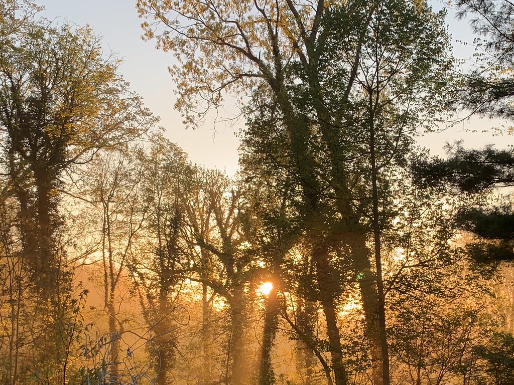 Spring! Early morning on Mount Auburn, Evansville IN Laura