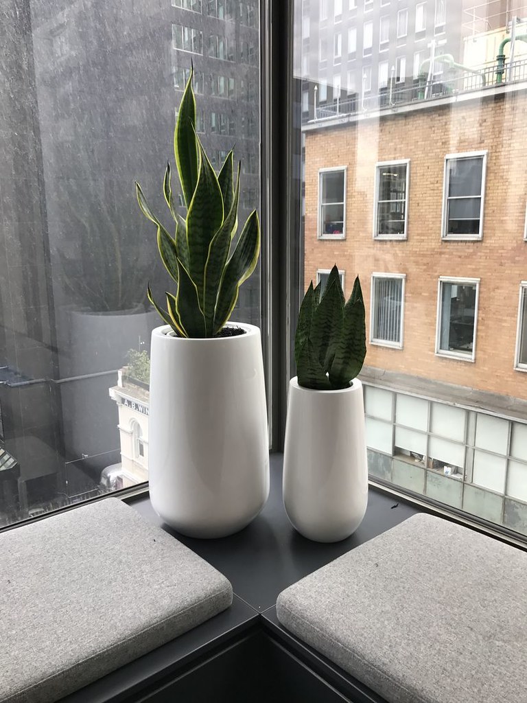 Corporate Plant Service Melbourne Plants For Hire Flickr