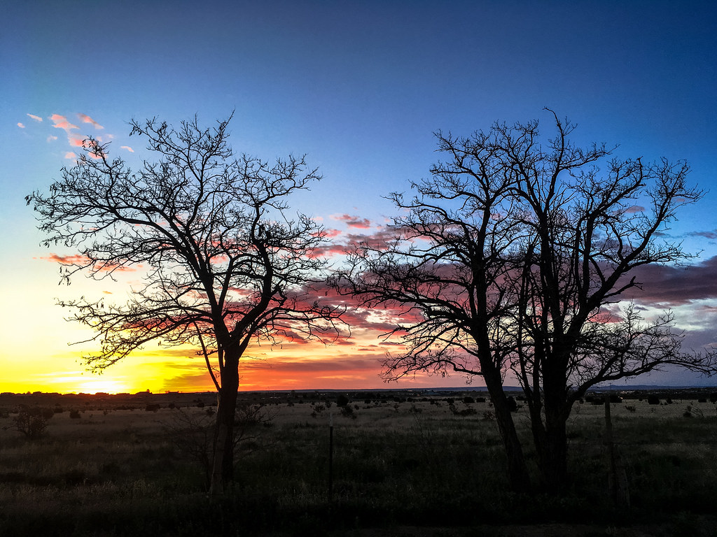 Estancia Valley, New, Mexico, April 22, 2019 Richard Hasler Flickr