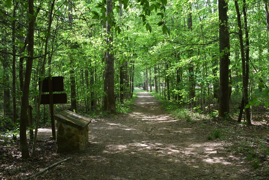 Interpretive Trail Frozen Head State Park May 1, 2019 Flickr