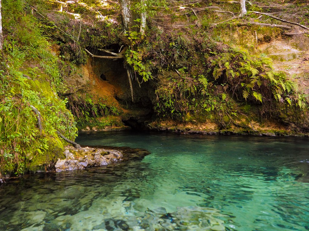 Emerald Springs Will Survive a photo on Flickriver