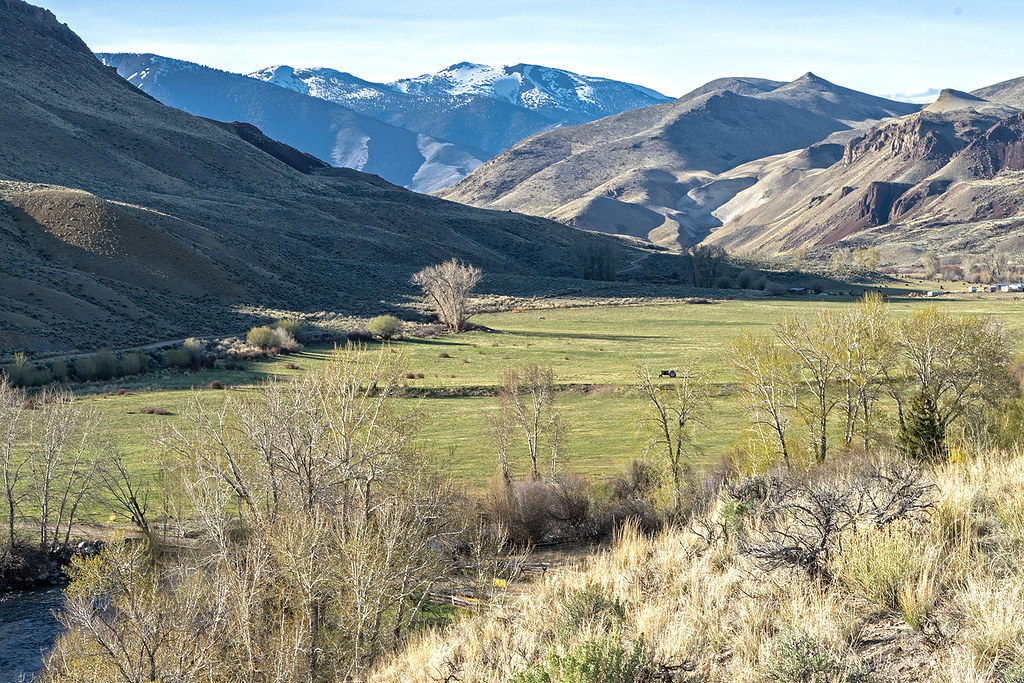 Down the East Fork Salmon River stream valley in central I… Flickr