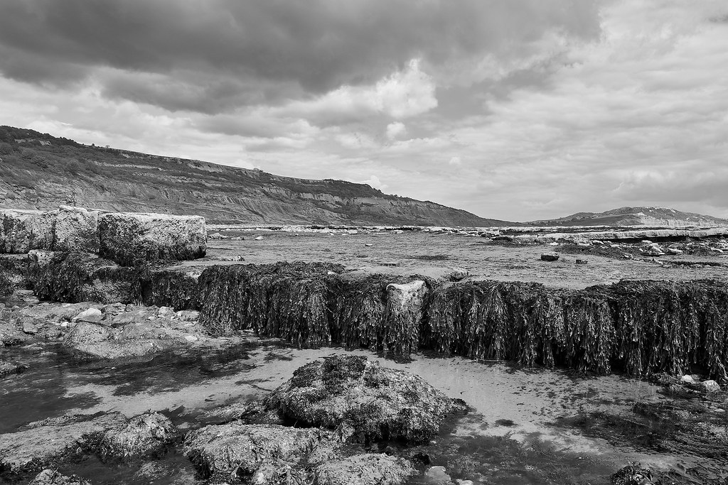 Charmouth Ian Atkinson Flickr