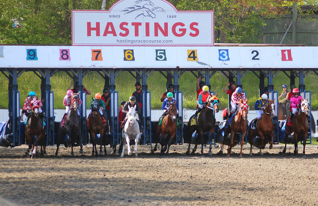 HASTINGSPARK 6th Race "The Swift Thoroughbreds Inaugural"… Flickr