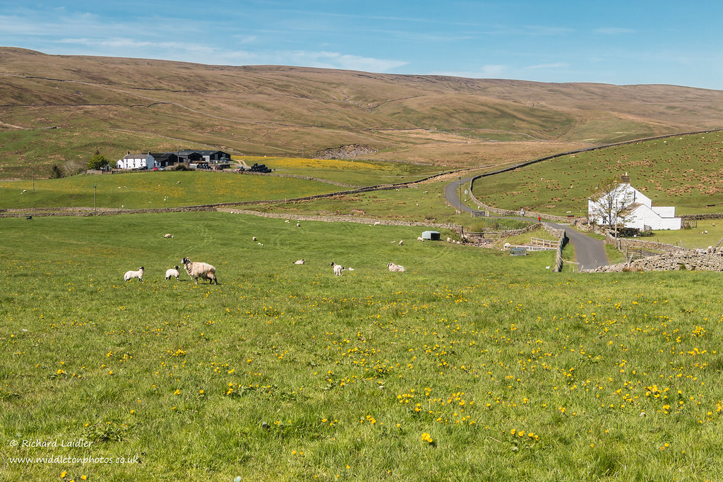 Stoney Hill and Force Foot Farms Harwood May 2019 Richard Laidler