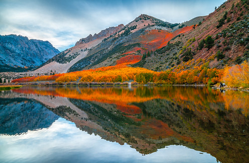 Eastern Sierra Fall Colors 2023