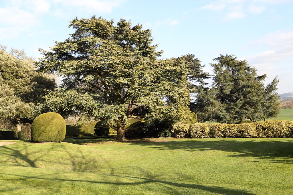 Ascott Gardens Ascott Gardens pauluk1234 Flickr