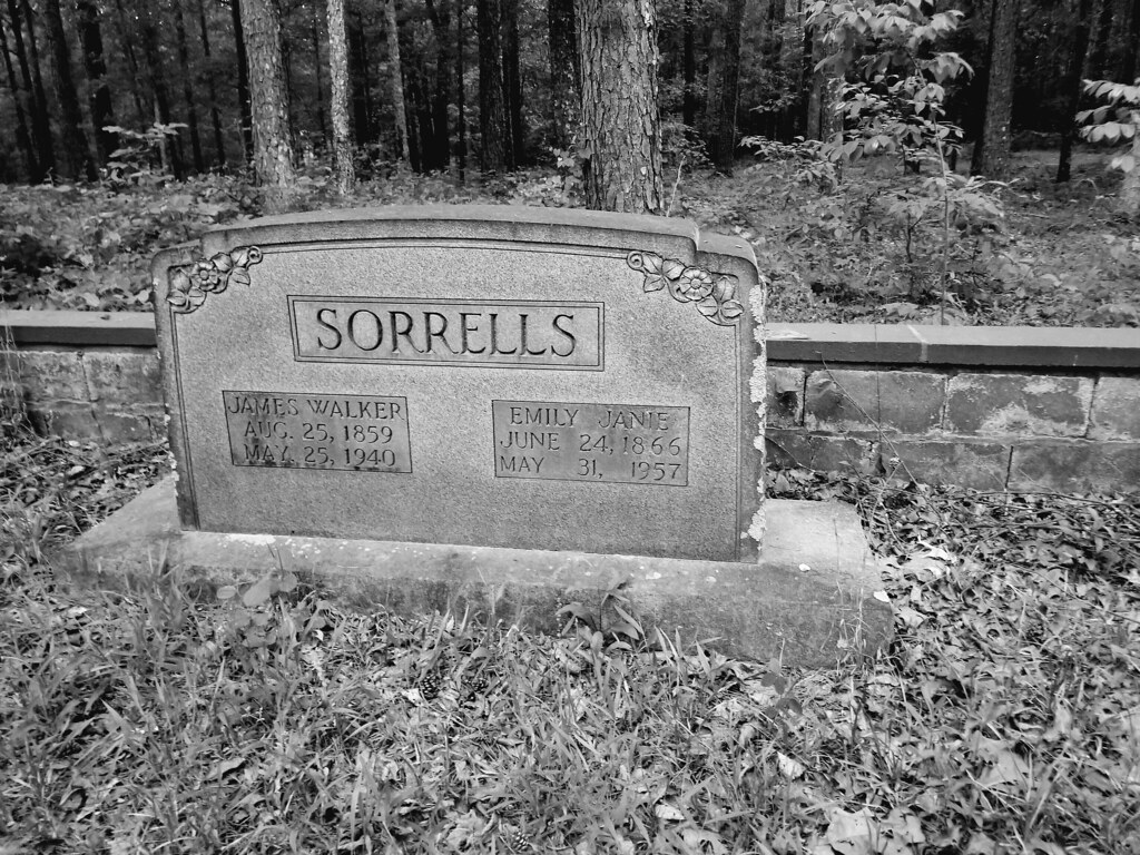 in the old Sorrells cemetery Laura Sorrells Flickr