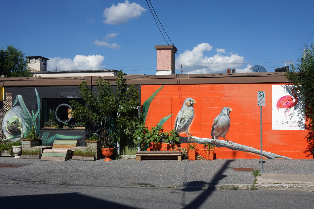 Street Art by Arpi; Armstrong Street, Ottawa Street Art by… Flickr