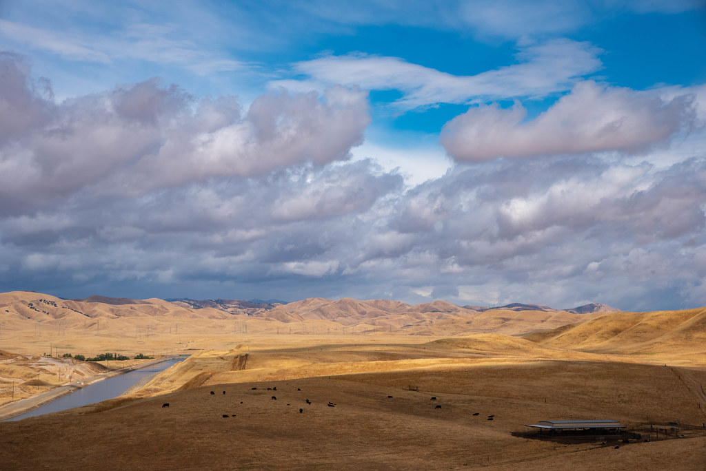 Newman California Overlook2019007May 16, 2019.jpg Flickr