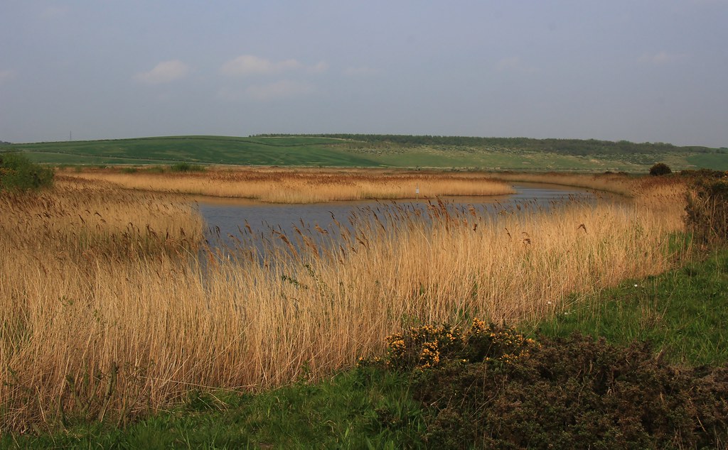 St Aidan's RSPB Great Preston West Yorks300419 (1) Flickr