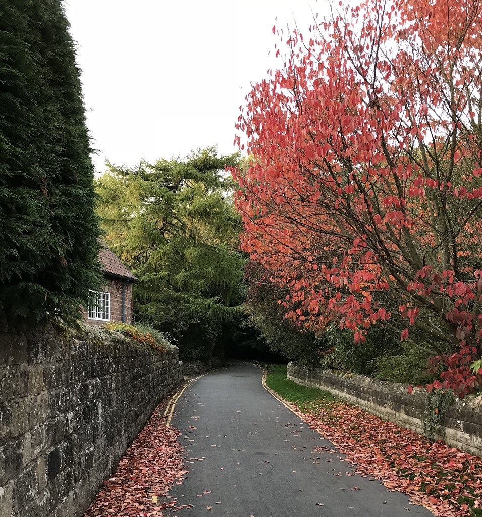 Abbey Road, Knaresborough Mike Flickr