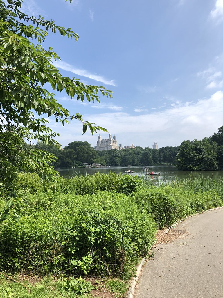 New York austin.bench Flickr