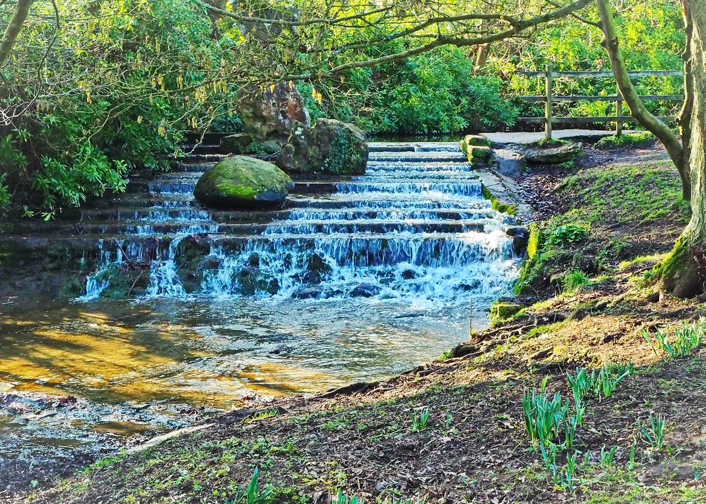 Newstead Abbey Woodlands in the Abbey Grounds. Tracey Jones Flickr