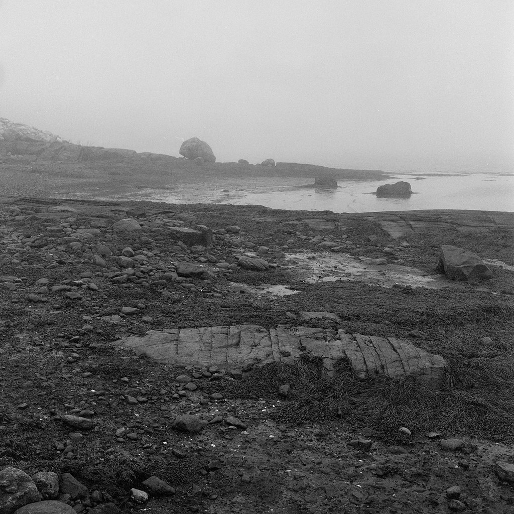 img803 At the beach. Waldo Avenue, Rockland Maine. March 2… Flickr