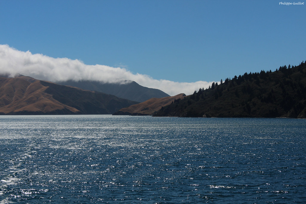 Queen Charlotte Sound (Tōtaranui) Passage entre les îles A… Flickr