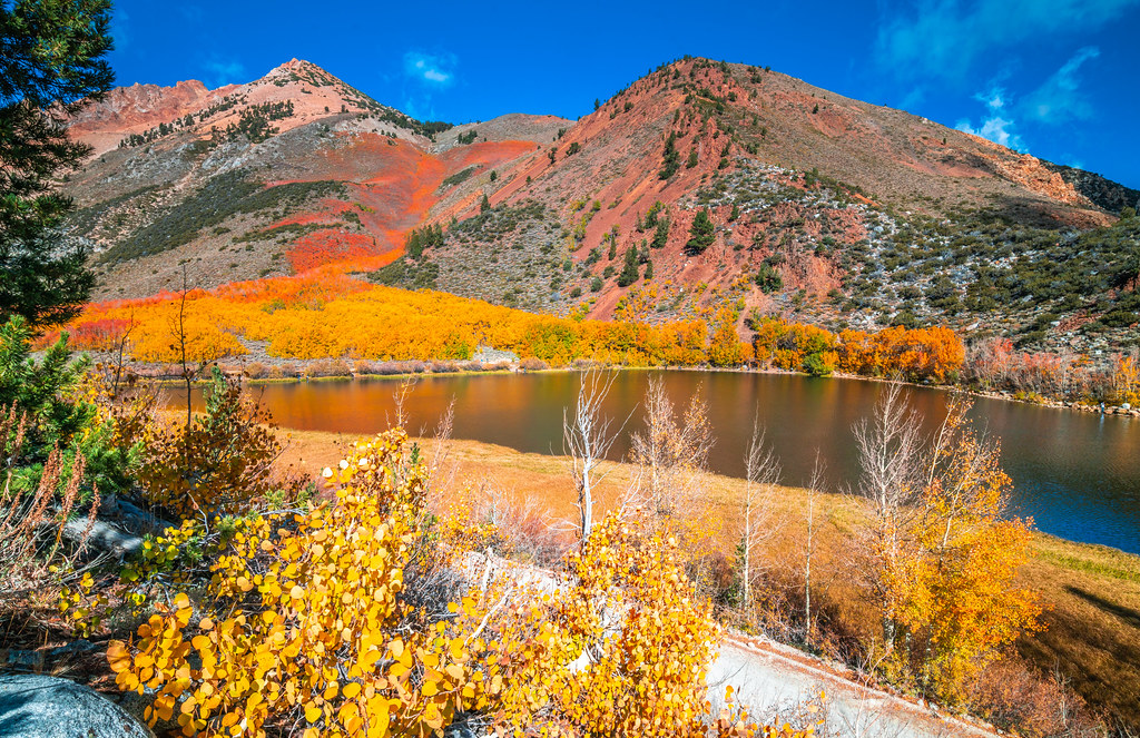 Eastern Sierra Fall Colors 2023