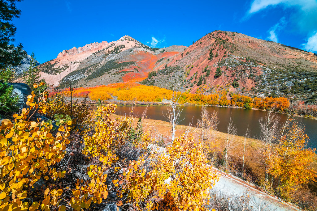 Eastern Sierra Fall Colors 2023