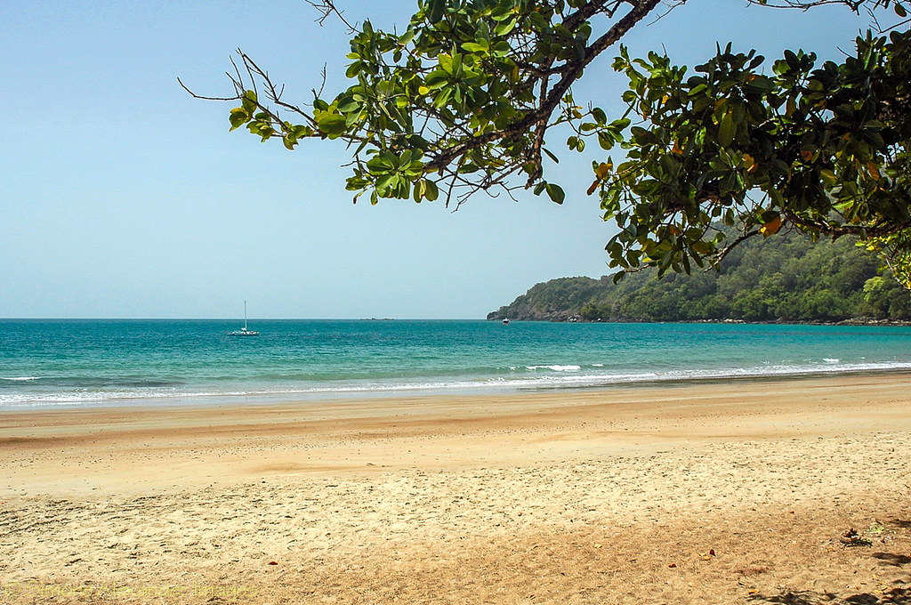 Cow Bay, Daintree National Park Simone Alexander Flickr