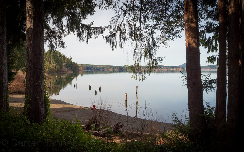 Lake Quinalt, March 2019 Flickr