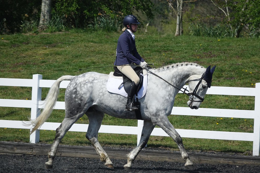 Louise Hambleton 190419 Flickr