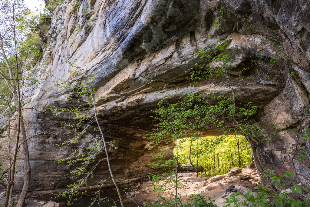 Creelsboro Natural Bridge is created from 440 million year… Flickr