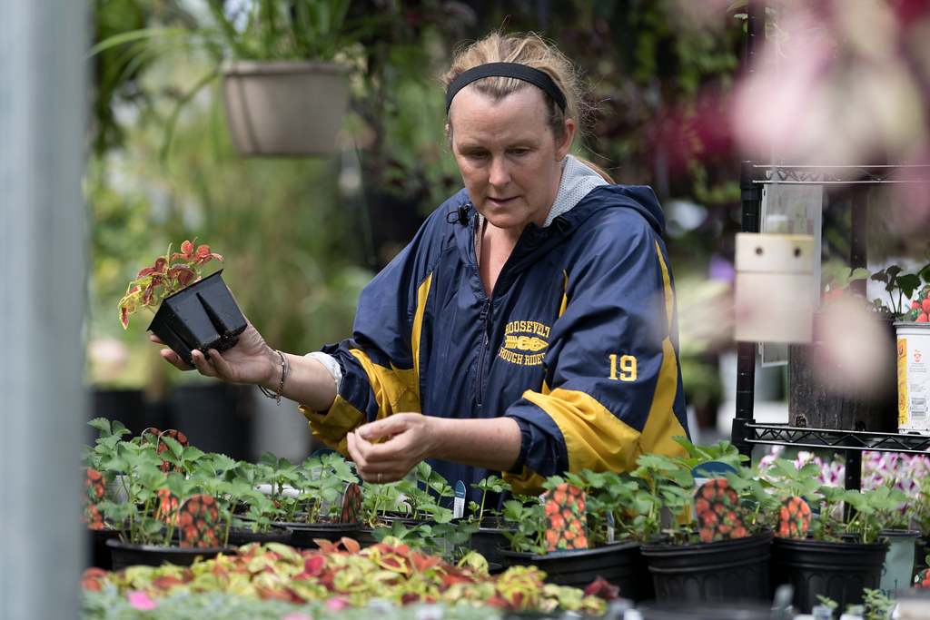 2019 FFA Plant Sale Flickr