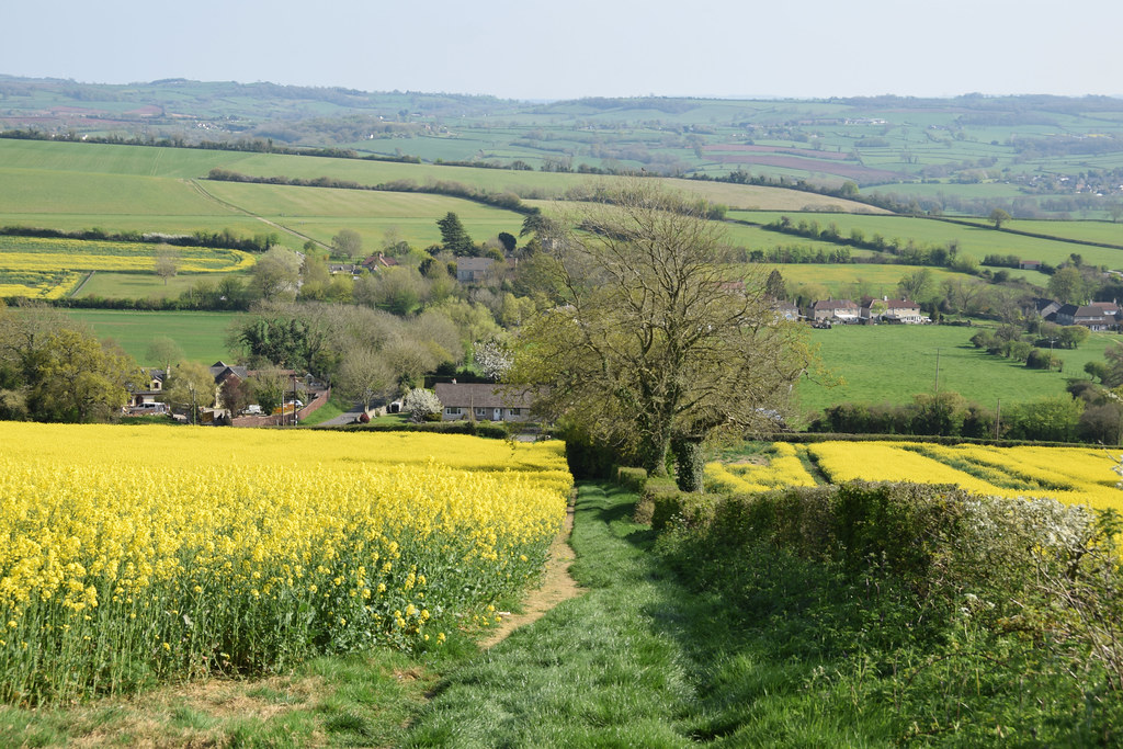 Norton Malreward stevekeiretsu Flickr